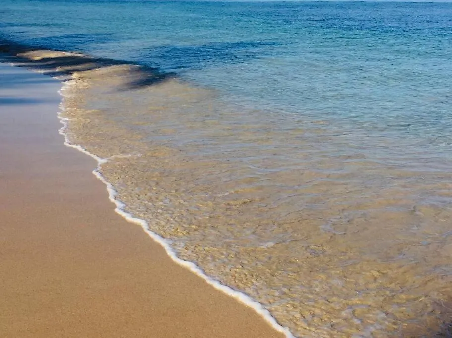 Las Terrenas Haven Доминиканская Республика
