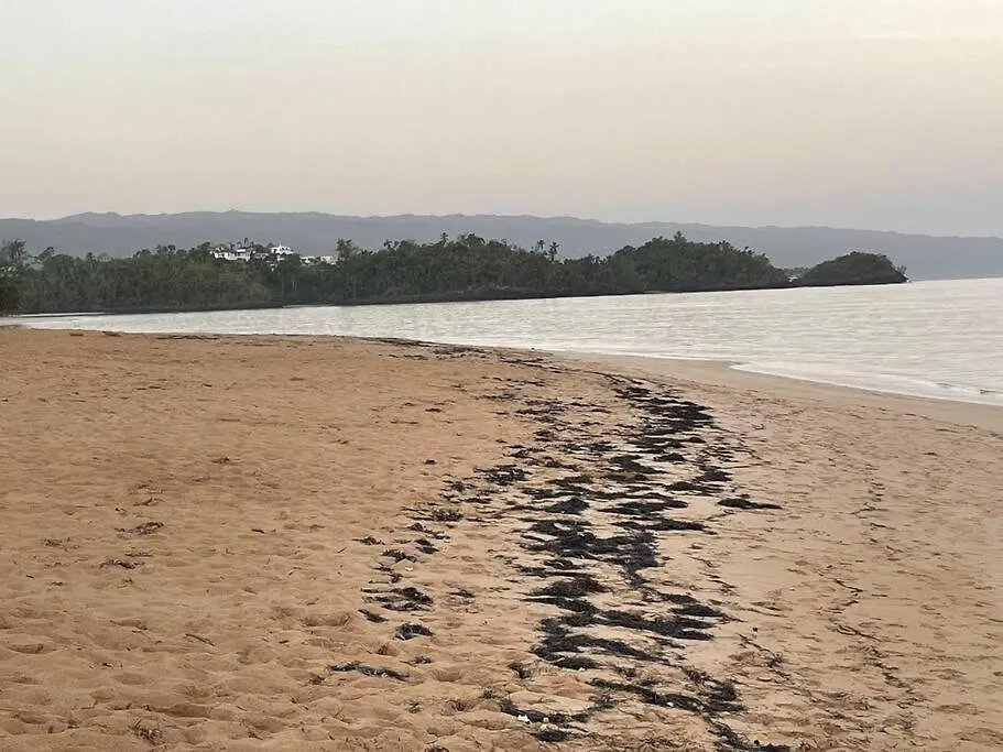 Las Terrenas Haven Апартаменты Лас Терренас
